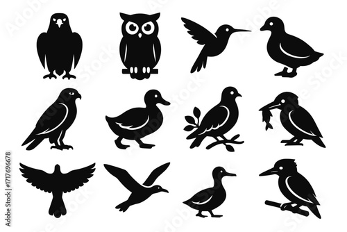 Vector grid silhouettes above pigeon side falcon bird fish icon owl from