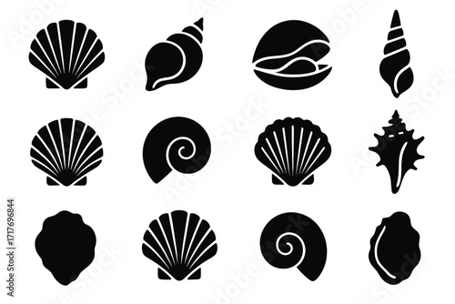 Icon shell ridges vector end seashell view murex modern clam auger pointed