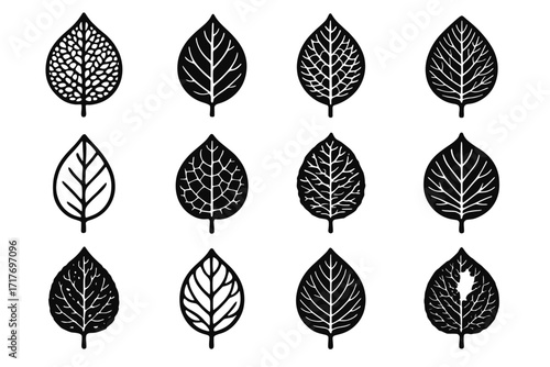 Structured layered leaf grid skeleton midrib lace icons core vector composition icon