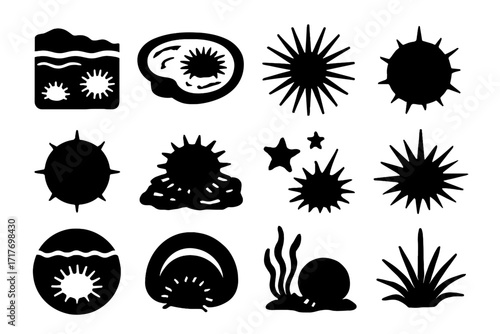Life sea icons vector marine creature icon urchin pool minimalist spine