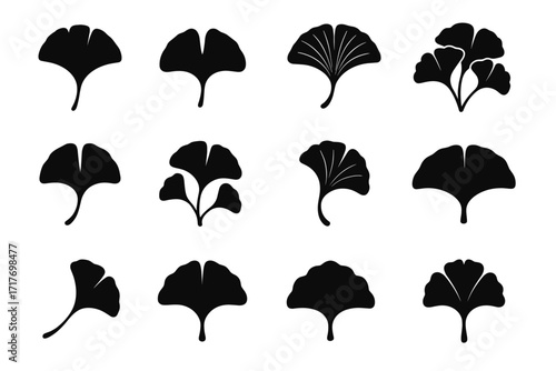 Vector blade form ginkgo veins leaf overlapping outline pair icon gently