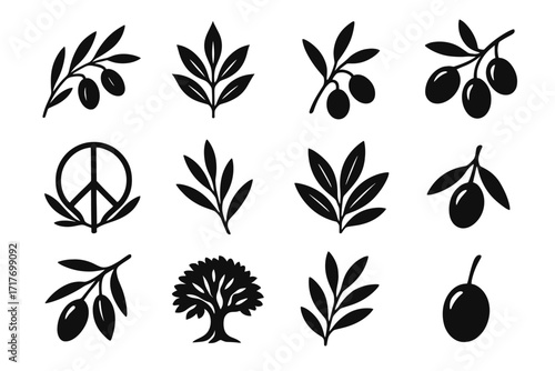 Leaf traditional branch stem tree trio element olive vector icon pointed