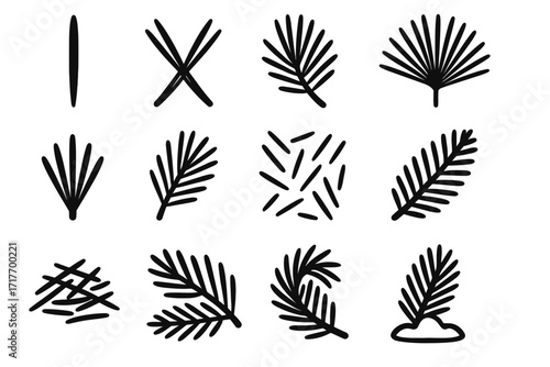 Conifer needle vector pine icon twig single shape radial swirl fallen