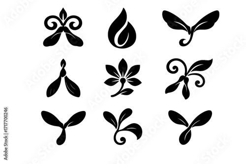 Seed vector samara icon icons swirl maple symmetrical combo flourish silhouette