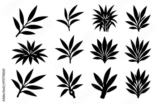 Bamboo stacked thick icon vector dense arc fan lush leafy compressed icons