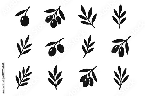 Branch clustered olives vector single olive icon twig icons growing five
