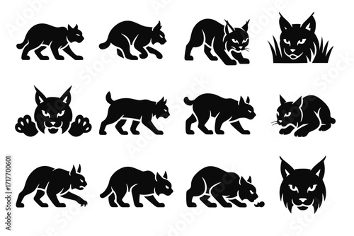 Lynx lean icon prey ready hunt predatory path breath stalking vector