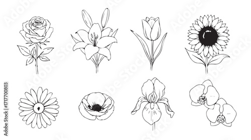 Diverse collection of beautiful botanical flowers presented as artful sketches and watercolor silhouette