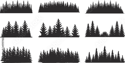 Pine tree forest silhouette vector illustration, evergreen woodland design, conifer tree landscape artwork, natural outdoor nature background, black pine tree outline