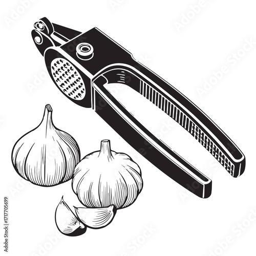Black garlic press Silhouette Vector, High Quality Illustration on White Background