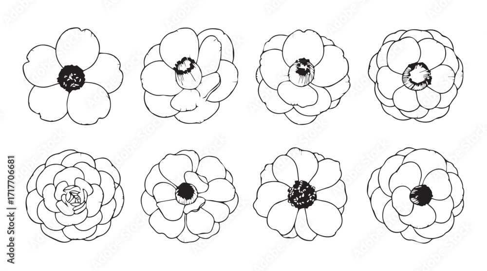 Obraz premium Delicate hand-drawn floral elements collection botanical sketch flowers for design and artistry silhouette