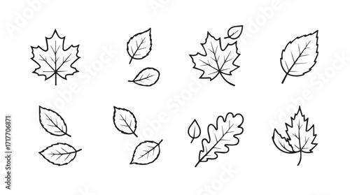 Hand drawn sketch collection of assorted autumn leaves for seasonal design elements silhouette
