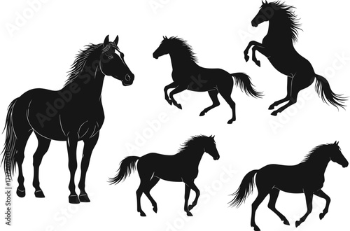 Horse silhouette vector set, galloping, rearing, walking, standing poses, black animal shapes, elegant equine motion, isolated clipart for design, print