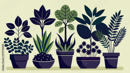 Vector art of a collection of potted plants with various leaf shapes and colors, arranged in a row against a light background, creating a natural and calm vibe