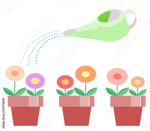 Illustration of three round-flower pots being watered with a watering can, in color. Suitable for gardening, flower care, seasonal themes, and kindergarten guides.
