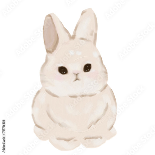 Rabbit