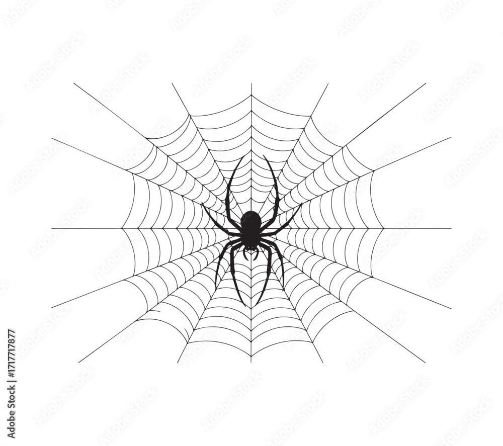 Fototapeta premium Spider Web's Creepy Minimalism