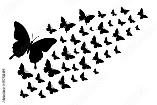 A butterfly is flying over a group of butterflies. The butterflies are all black and are scattered in different directions. Vector silhouette.