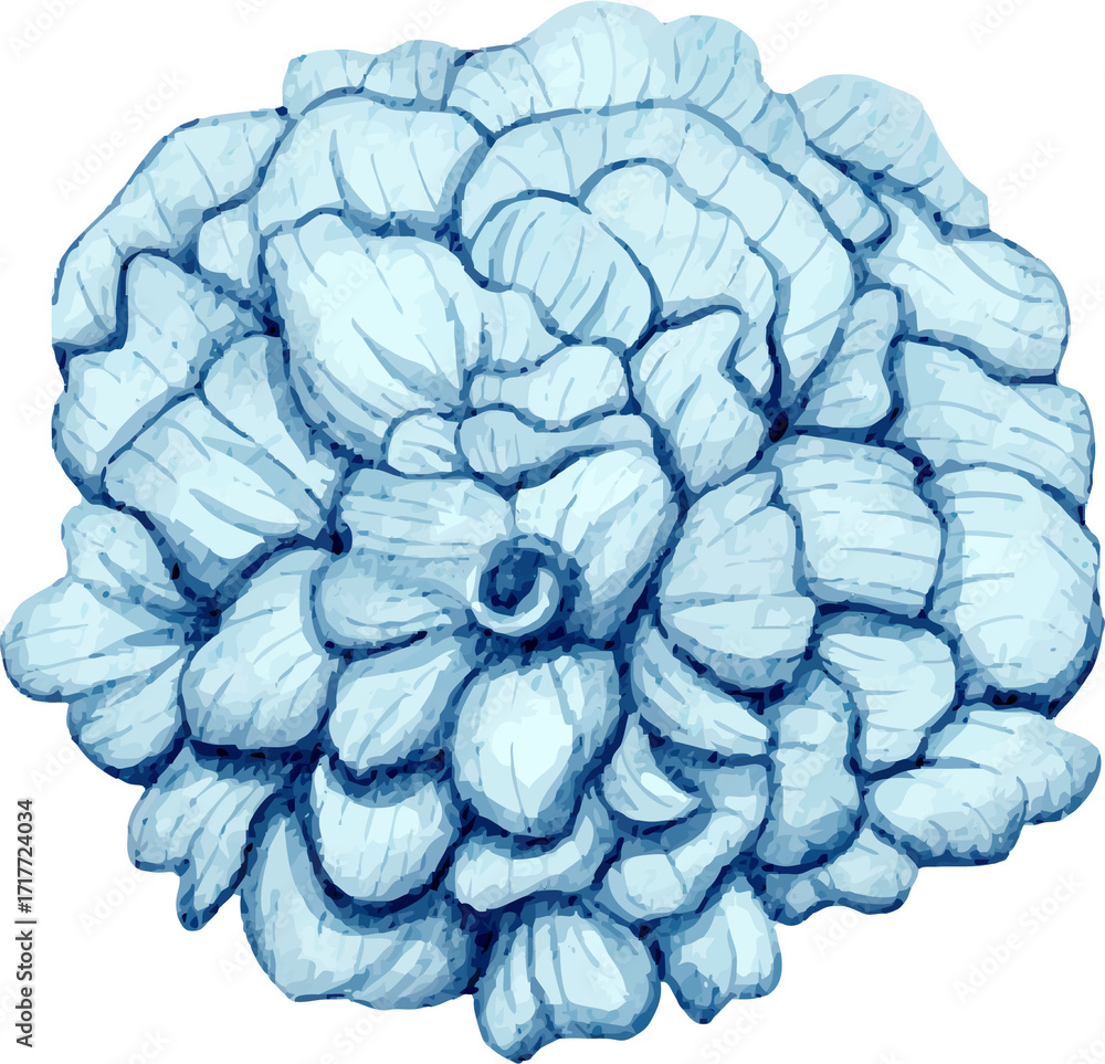 Obraz premium watercolor winter flower illustration