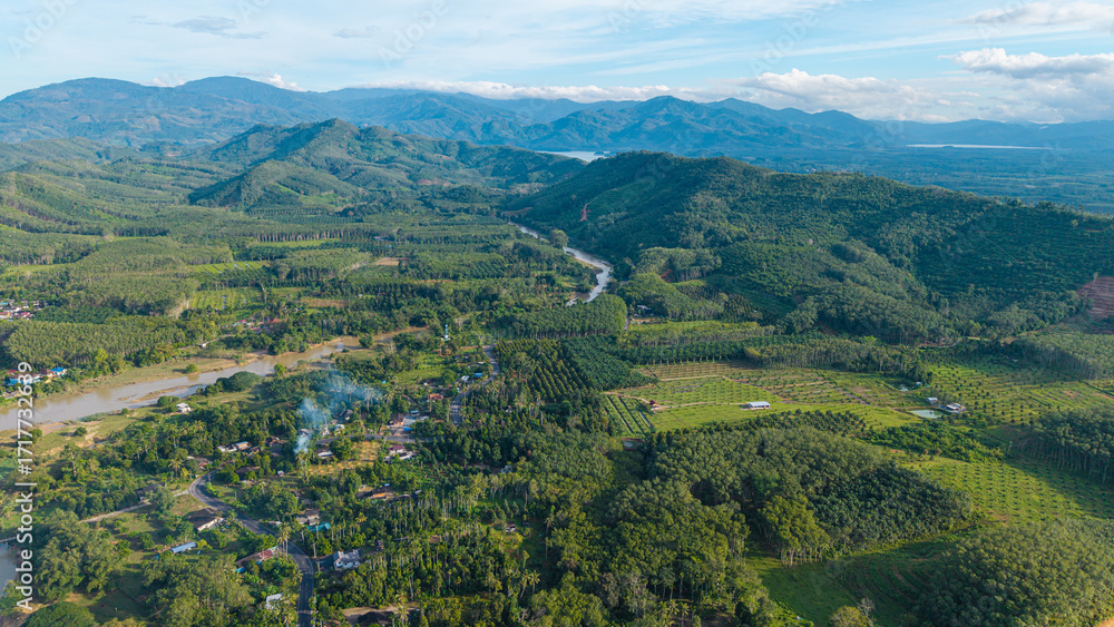 Obraz premium Aerial view tropical green forest tree with river canal morning sunrise