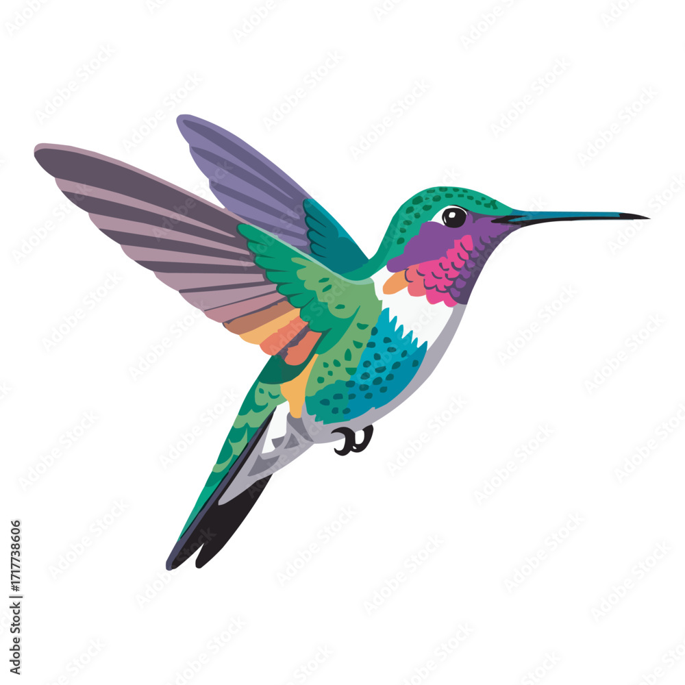 Obraz premium Colorful Hummingbird Vector Illustration Isolated on White Background
