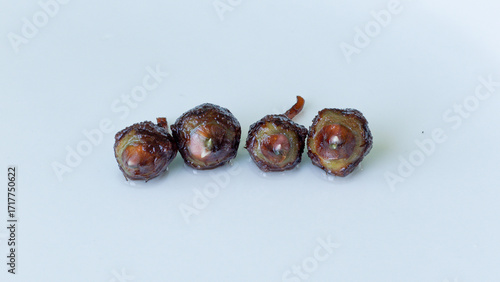 Foto Corm of an Alocasia × amazonica 'Polly’ corm with signs of new growth