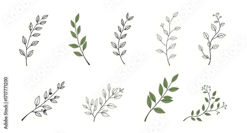 forest plants silhouette, fern silhouette, flower silhouette, ornamental plants, vector flora, natural background, green design concept, botanical illustration, wildflowers silhouette, aesthetic plant