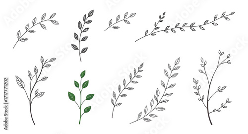 abstract plants, floral decoration, eco design elements, forest plants silhouette, fern silhouette, flower silhouette, ornamental plants, vector flora, natural background, green design concept, botani