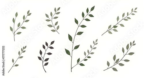 tropical plants vector, nature icons, abstract plants, floral decoration, eco design elements, forest plants silhouette, fern silhouette, flower silhouette, ornamental plants, vector flora, natural ba