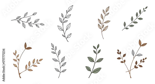 herbs silhouette, bush silhouette, botanical art, organic shapes, plant outlines, tropical plants vector, nature icons, abstract plants, floral decoration, eco design elements, forest plants silhouett