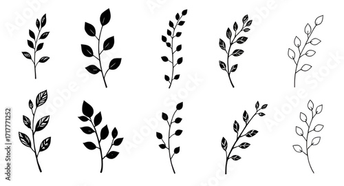 decorative plants, wild plants silhouette, meadow plants vector, herbs silhouette, bush silhouette, botanical art, organic shapes, plant outlines, tropical plants vector, nature icons, abstract plants