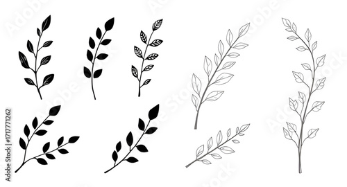 minimalist plants, decorative plants, wild plants silhouette, meadow plants vector, herbs silhouette, bush silhouette, botanical art, organic shapes, plant outlines, tropical plants vector, nature ico