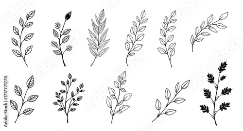 floral silhouette, garden plants vector, plant clipart, natural elements vector, minimalist plants, decorative plants, wild plants silhouette, meadow plants vector, herbs silhouette, bush silhouette, 