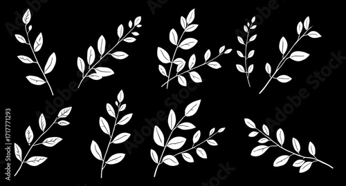 black plant shapes, tropical leaves silhouette, grass silhouette, tree branch silhouette, floral silhouette, garden plants vector, plant clipart, natural elements vector, minimalist plants, decorative