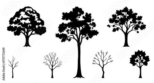 tree silhouette, oak tree silhouette, palm tree silhouette, fir tree silhouette, cedar tree silhouette, birch tree silhouette, maple tree silhouette, tree branches silhouette, tropical tree silhouette