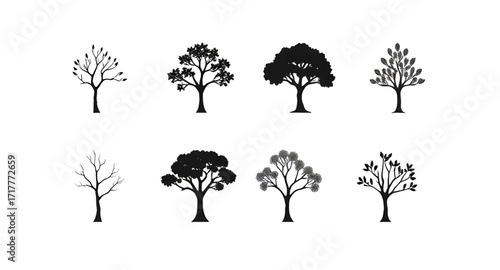 nature tree silhouettes, pine tree silhouette, oak tree silhouette, palm tree silhouette, fir tree silhouette, cedar tree silhouette, birch tree silhouette, maple tree silhouette, tree branches silhou