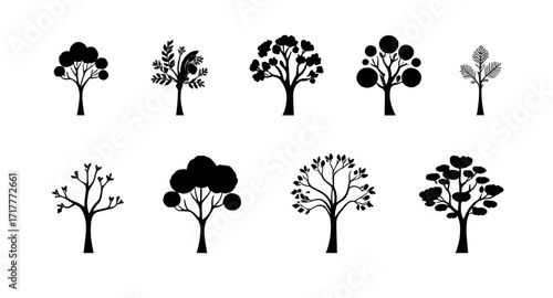 tree outline set, woodland silhouettes, nature tree silhouettes, pine tree silhouette, oak tree silhouette, palm tree silhouette, fir tree silhouette, cedar tree silhouette, birch tree silhouette, map