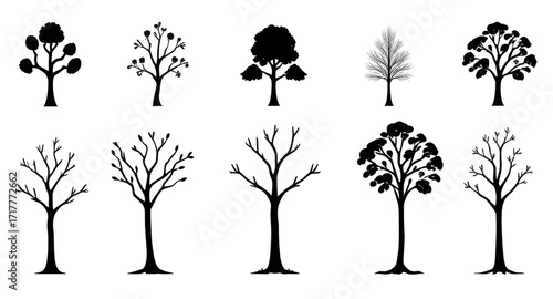 black tree silhouettes, tree outline set, woodland silhouettes, nature tree silhouettes, pine tree silhouette, oak tree silhouette, palm tree silhouette, fir tree silhouette, cedar tree silhouette, bi