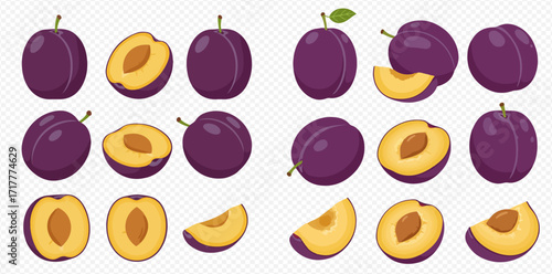 Illustration of whole, halved, and sliced plums, showcasing the fruit's vibrant purple skin and yellow flesh.