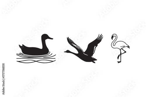 Silhouettes of a duck swimming a goose flying and a flamingo standing