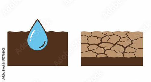 Comparison of Healthy and Dry Soil