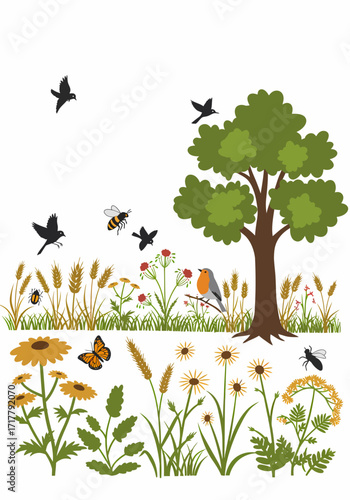 Ecosystem with Rich Biodiversity and Plants