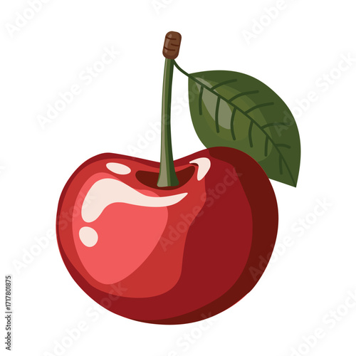Illustration cherry fruit over white background. colorful design. vector illustration
