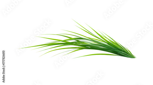Green grass blade isolated on a transparent background 