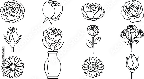Vector line art floral designs roses peonies daisies collection