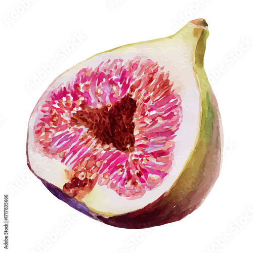 My Watercolor illustration, a set of cut figs with pinkish isolated on a white background, illustration, AI painting design, vector set, eps format design