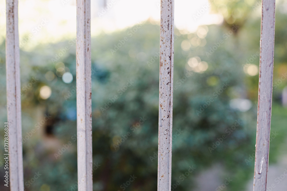 Fototapeta premium metal fence on a sunny day