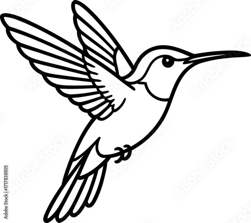 Elegant hummingbird in mid-flight, wings outstretched in a delicate dance.