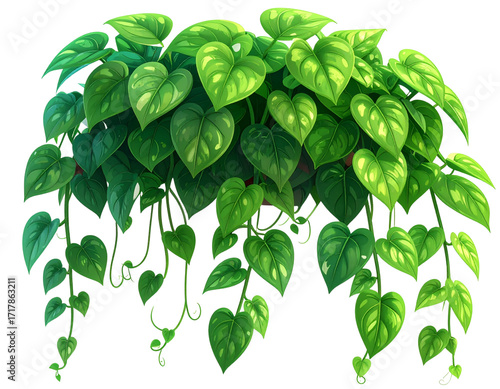  Glossy 3D render of tropical pothos houseplant hanging vine greenery isolated on transparent background PNG