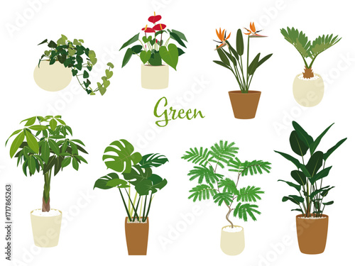A collection of potted houseplants, diverse in species and foliage, displayed against a white background.